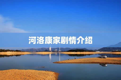 河洛康家剧情介绍