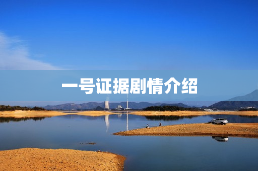 一号证据剧情介绍
