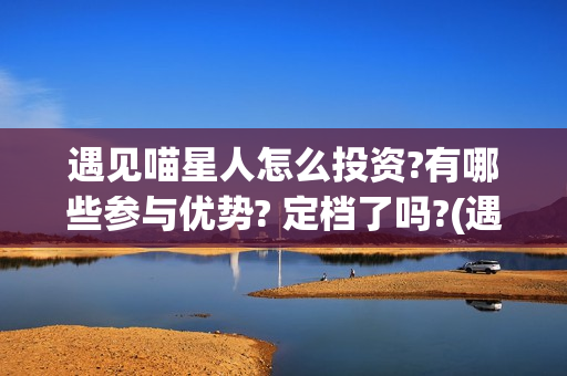 遇见喵星人怎么投资?有哪些参与优势? 定档了吗?(遇见喵星人怎么玩)