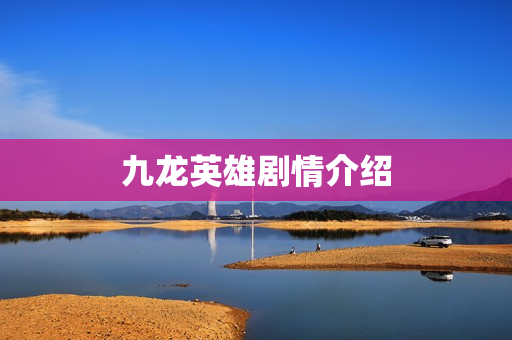 九龙英雄剧情介绍
