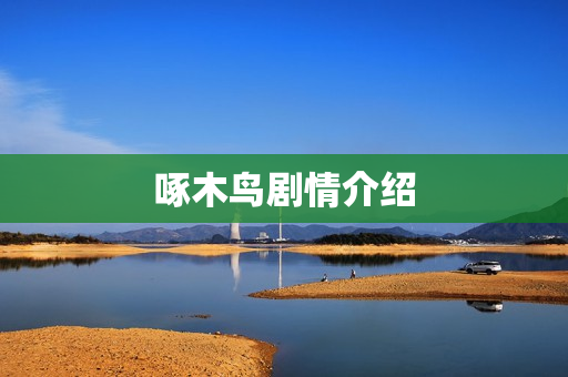 啄木鸟剧情介绍