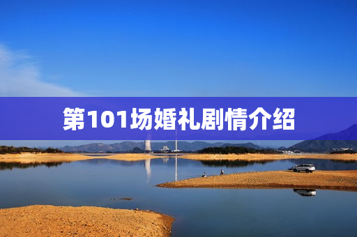 第101场婚礼剧情介绍