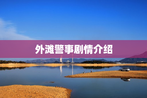 外滩警事剧情介绍