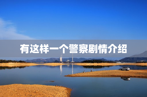 有这样一个警察剧情介绍