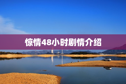 惊情48小时剧情介绍