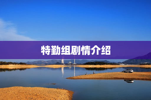 特勤组剧情介绍