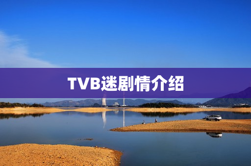 TVB迷剧情介绍