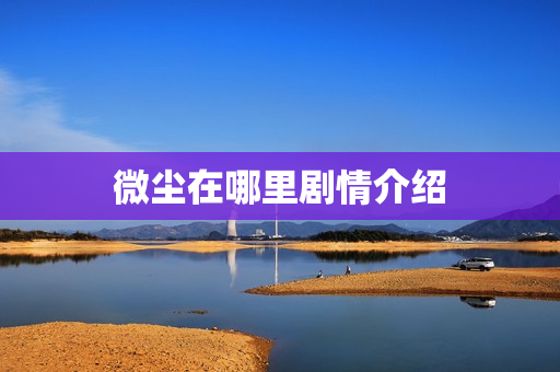 微尘在哪里剧情介绍