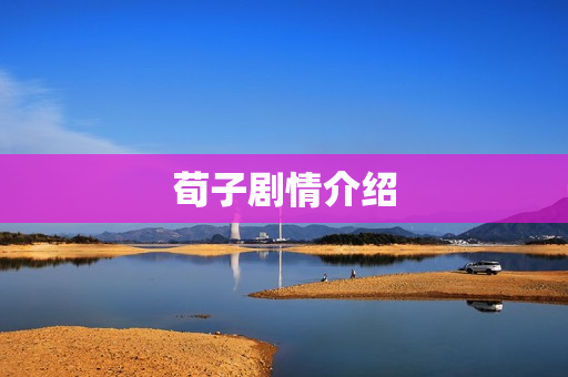 荀子剧情介绍