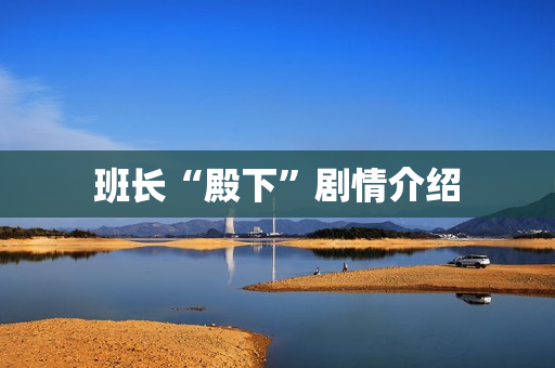 班长“殿下”剧情介绍