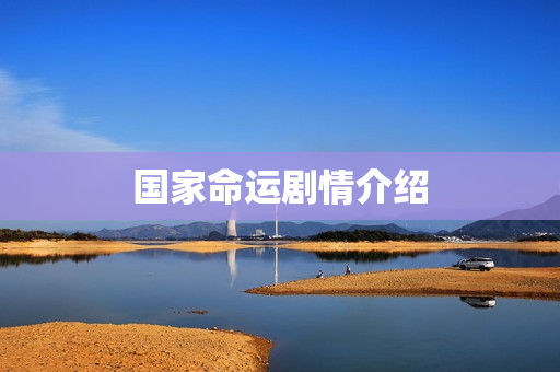 国家命运剧情介绍