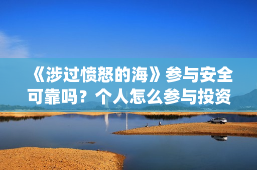 《涉过愤怒的海》参与安全可靠吗？个人怎么参与投资？(涉过愤怒的海事件原型)