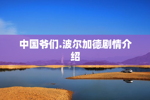 中国爷们.波尔加德剧情介绍