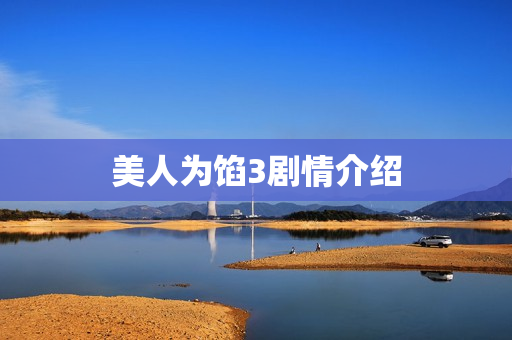 美人为馅3剧情介绍