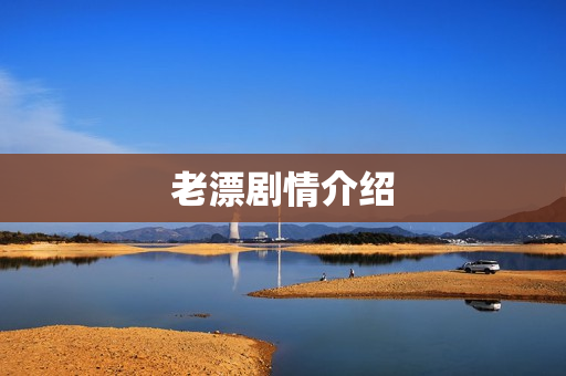 老漂剧情介绍