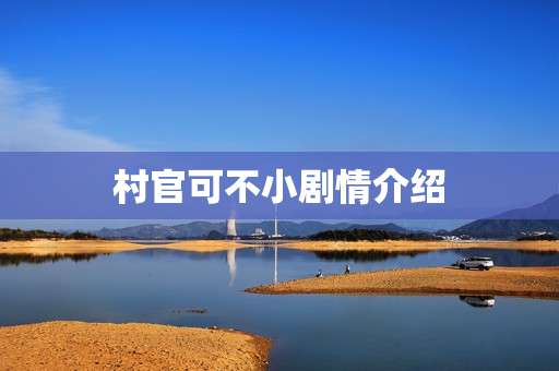 村官可不小剧情介绍