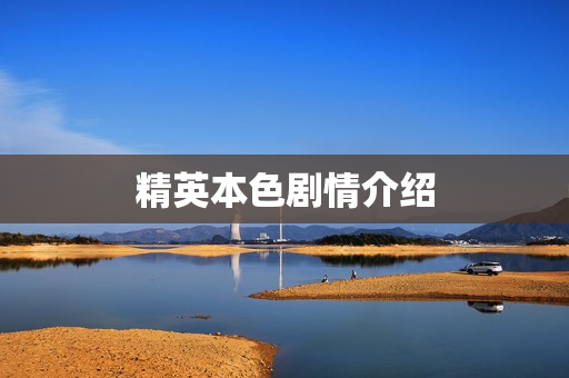 精英本色剧情介绍