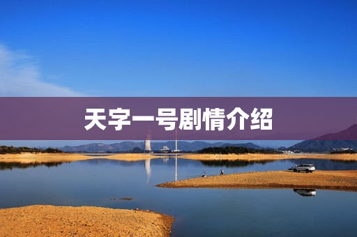 天字一号剧情介绍