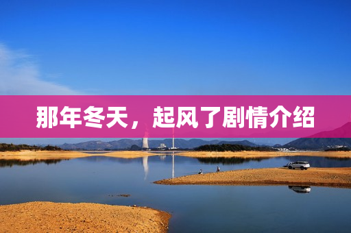 那年冬天，起风了剧情介绍