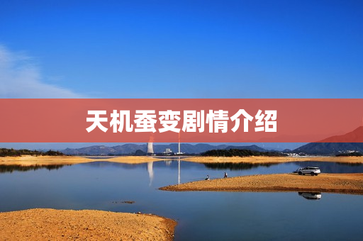 天机蚕变剧情介绍
