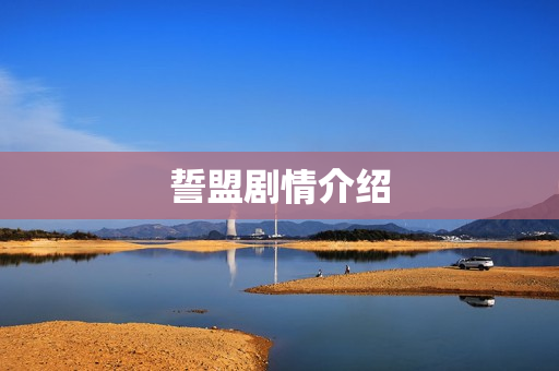 誓盟剧情介绍