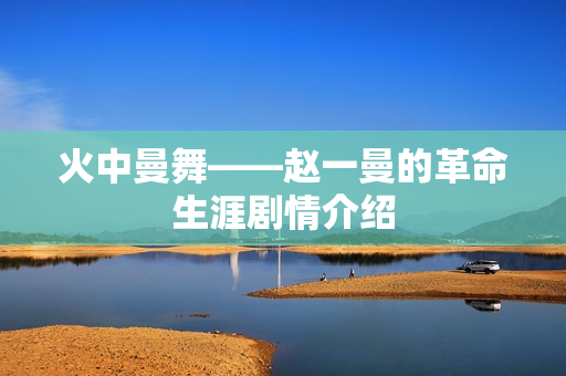 火中曼舞——赵一曼的革命生涯剧情介绍