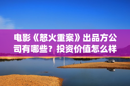电影《怒火重案》出品方公司有哪些？投资价值怎么样？找谁投资？(电影《怒火重案》演员表)