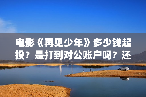 电影《再见少年》多少钱起投？是打到对公账户吗？还有投资份额吗？(再见少年电影啥意思)