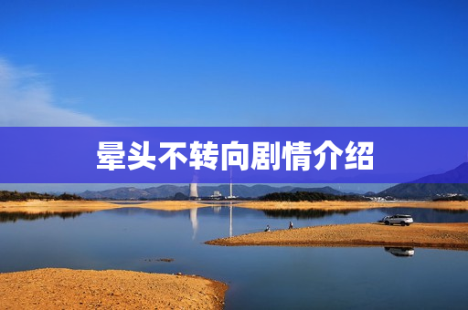 晕头不转向剧情介绍