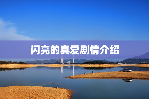 闪亮的真爱剧情介绍