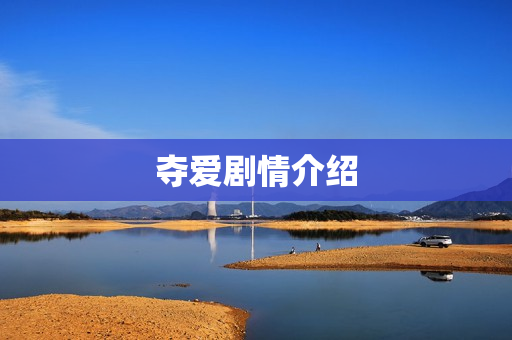 夺爱剧情介绍