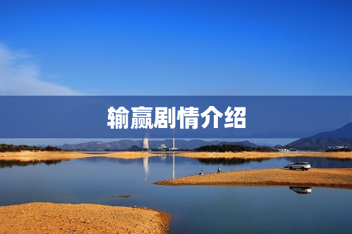输赢剧情介绍