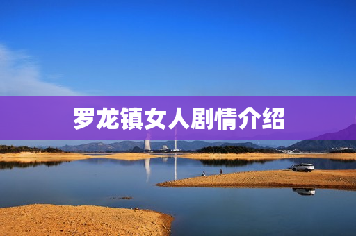 罗龙镇女人剧情介绍