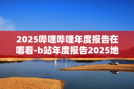 2025哔哩哔哩年度报告在哪看-b站年度报告2025地址分享