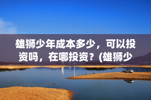 雄狮少年成本多少，可以投资吗，在哪投资？(雄狮少年卖点)