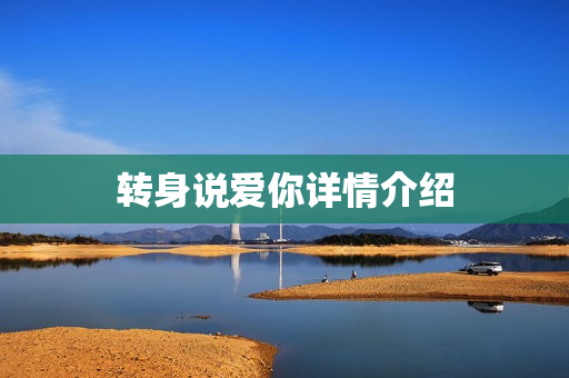 转身说爱你详情介绍