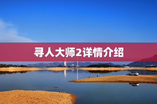 寻人大师2详情介绍