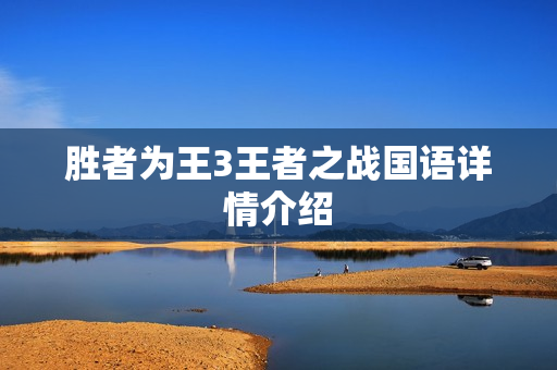 胜者为王3王者之战国语详情介绍