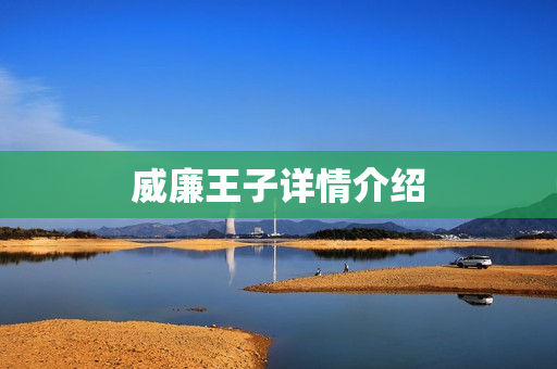 威廉王子详情介绍