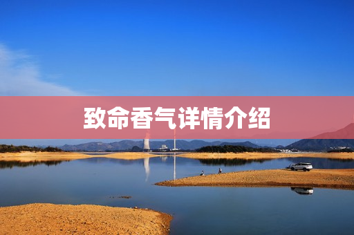 致命香气详情介绍