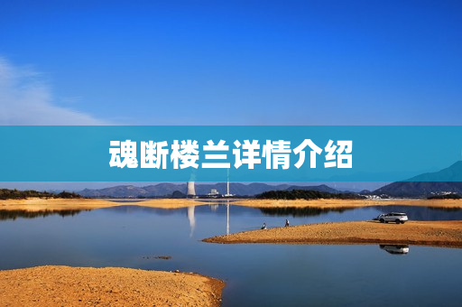 魂断楼兰详情介绍