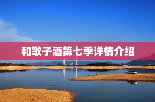 和歌子酒第七季详情介绍