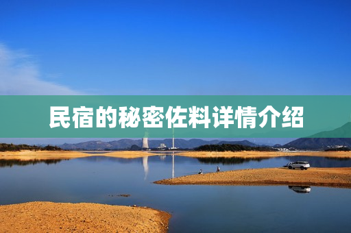 民宿的秘密佐料详情介绍