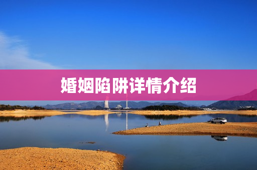 婚姻陷阱详情介绍