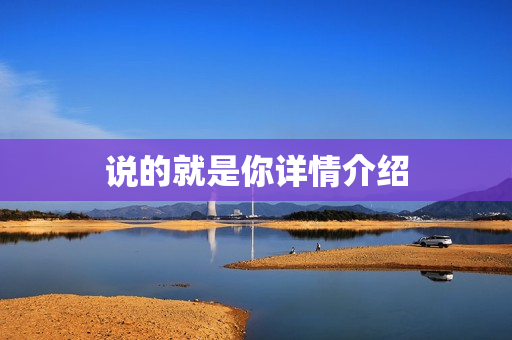 说的就是你详情介绍