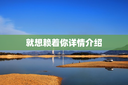 就想赖着你详情介绍