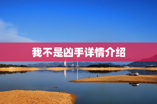 我不是凶手详情介绍