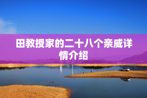 田教授家的二十八个亲威详情介绍