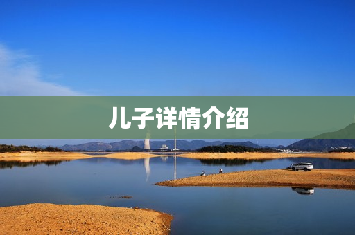 儿子详情介绍
