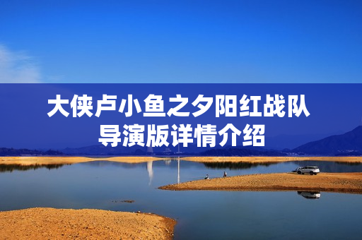 大侠卢小鱼之夕阳红战队 导演版详情介绍